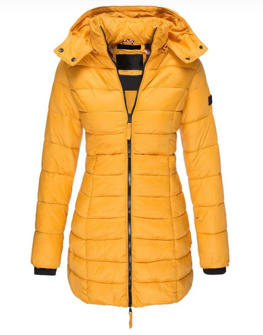 Elisa - Cosy Hooded Down Fall Jacket 2